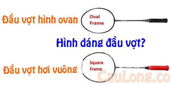 hinh dang đầu vợt